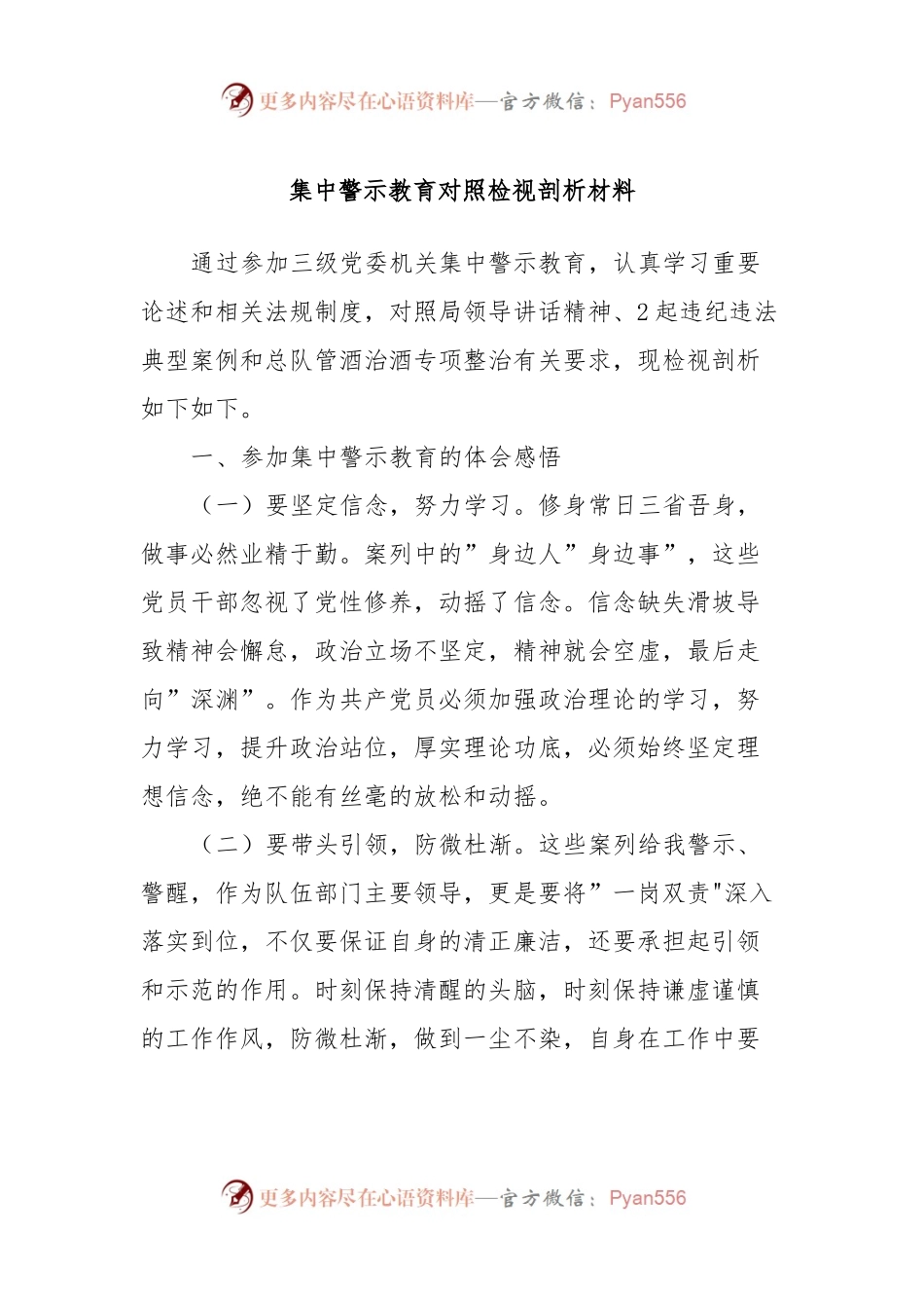 集中警示教育对照检视剖析材料 (2).docx_第1页