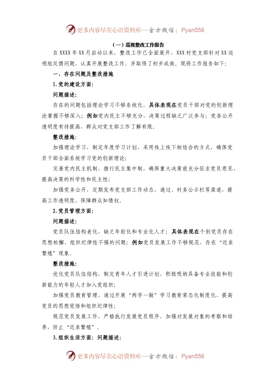 （2篇）支部党建巡视整改工作报告、整改材料.docx_第1页
