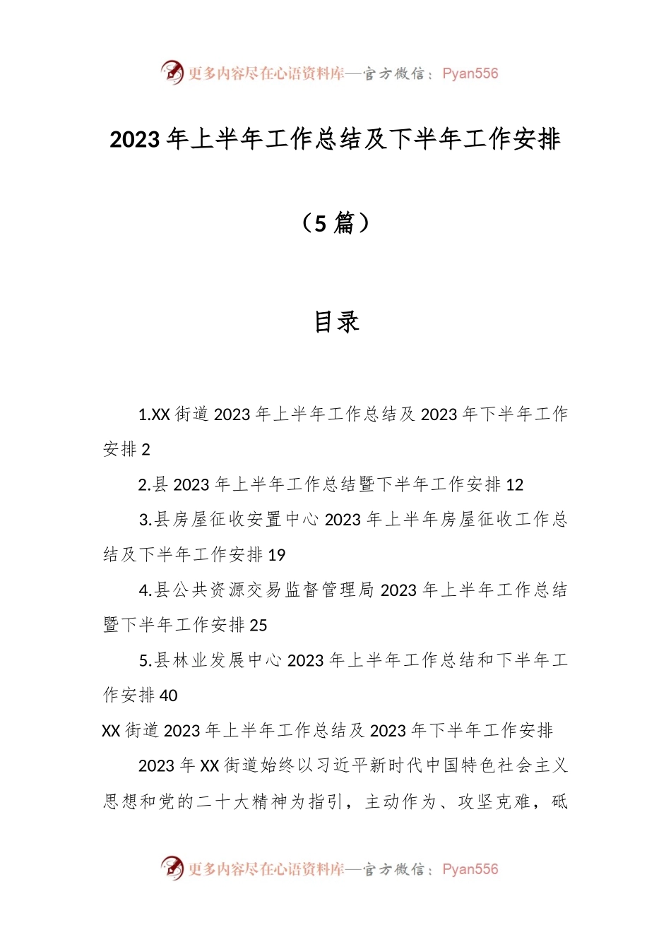 （5篇）2023年上半年工作总结及下半年工作安排.docx_第1页