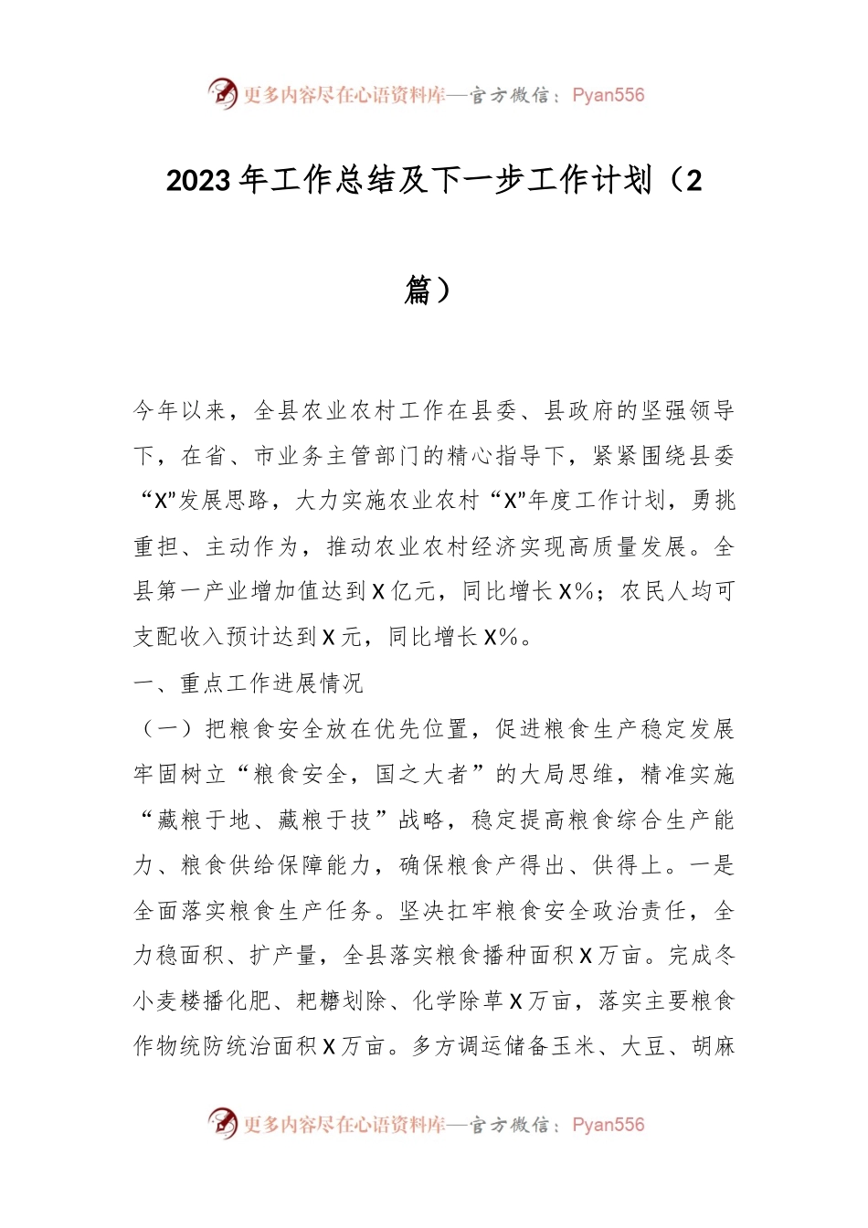 （2篇）2023年工作总结及下一步工作计划.docx_第1页