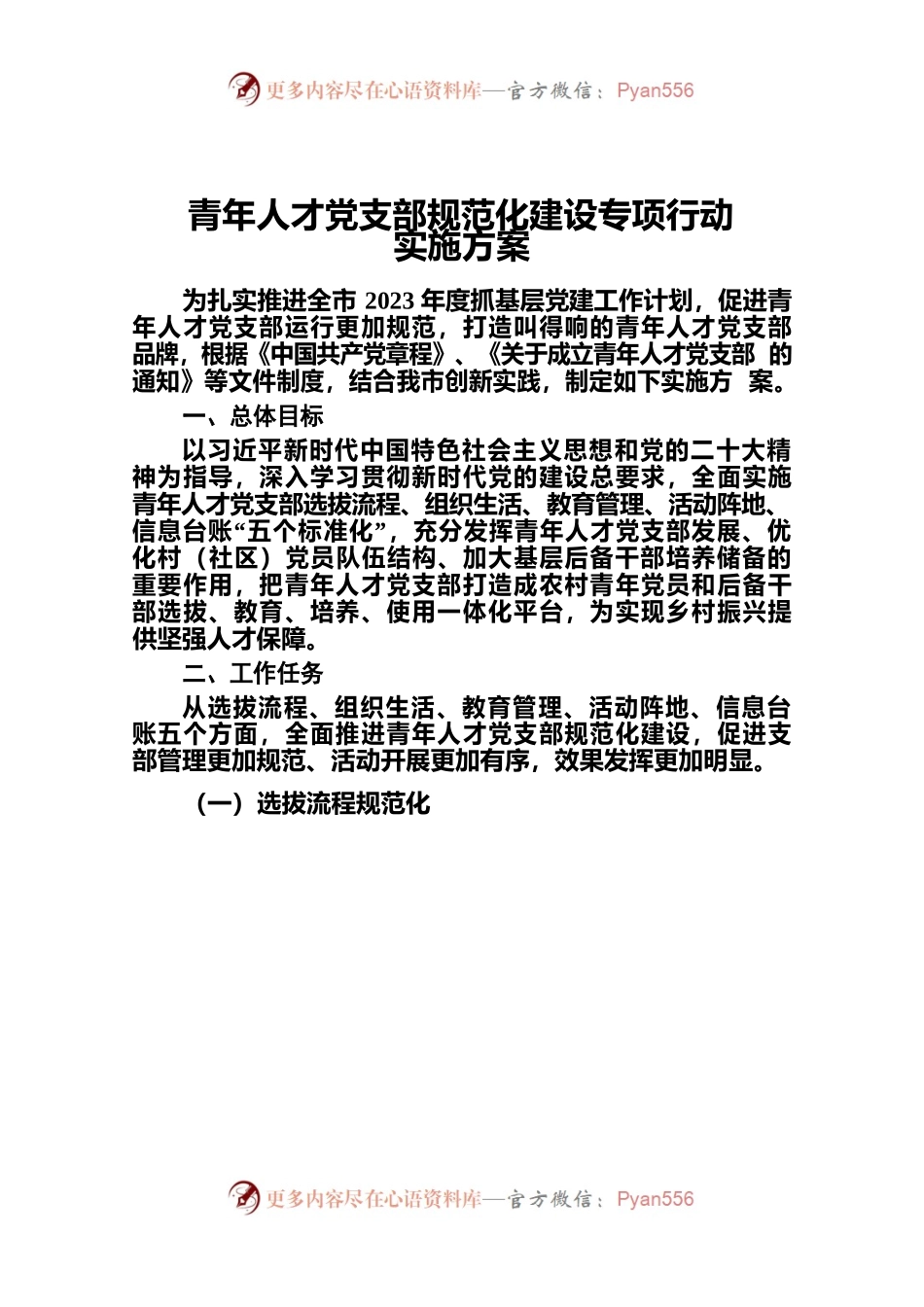 青年人才党支部规范化建设专项行动实施方案.docx_第1页