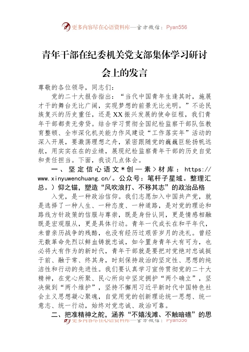 青年干部在纪委机关党支部集体学习研讨会上的发言.docx_第1页