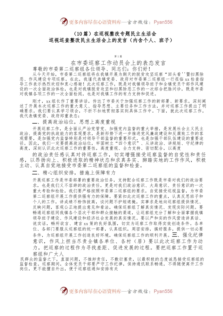 （10篇）在巡视整改专题民主生活会巡视巡查整改民主生活会上的发言.docx_第1页
