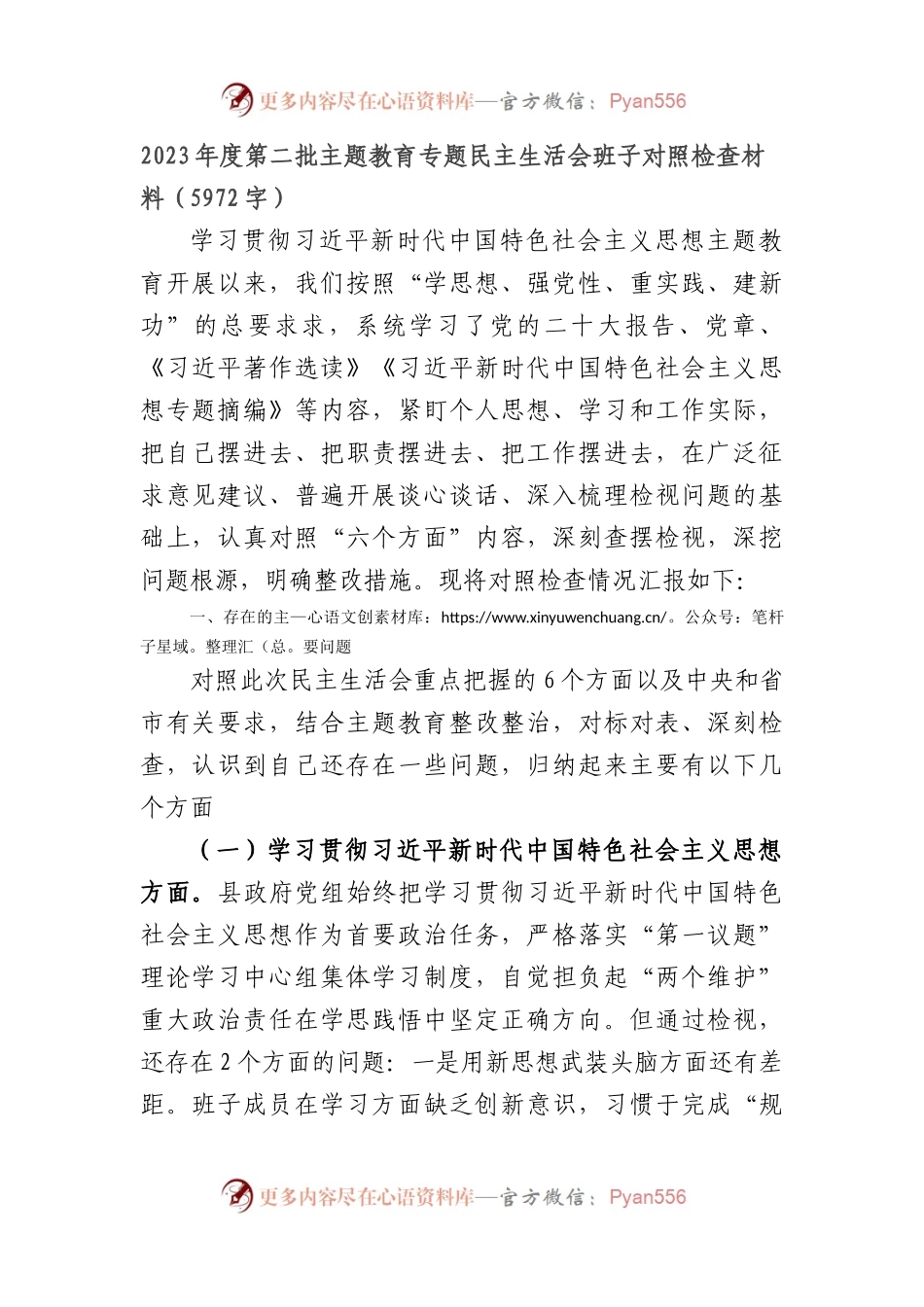 （县政府班子）主题教育专题民主生活会班子对照检查材料（践行宗旨等6个方面）.docx_第1页
