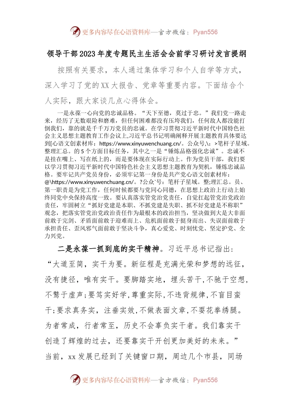领导干部2023年度专题民主生活会会前学习研讨发言提纲.docx_第1页