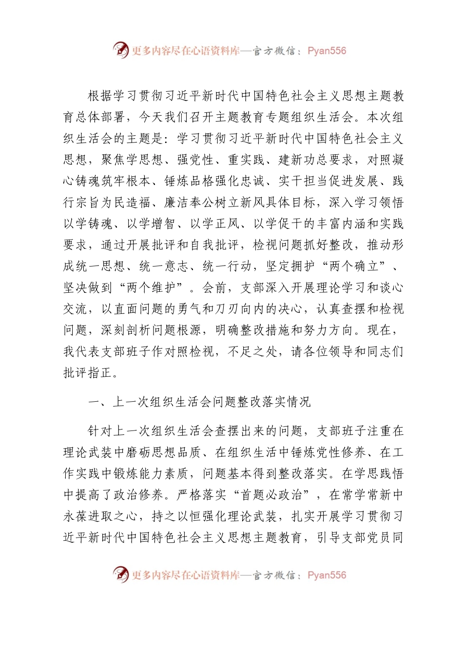 （支部班子）主题教育专题组织生活会党支部对照检查7000字（含会前准备情况、安全生产类典型案例剖析）.docx_第1页