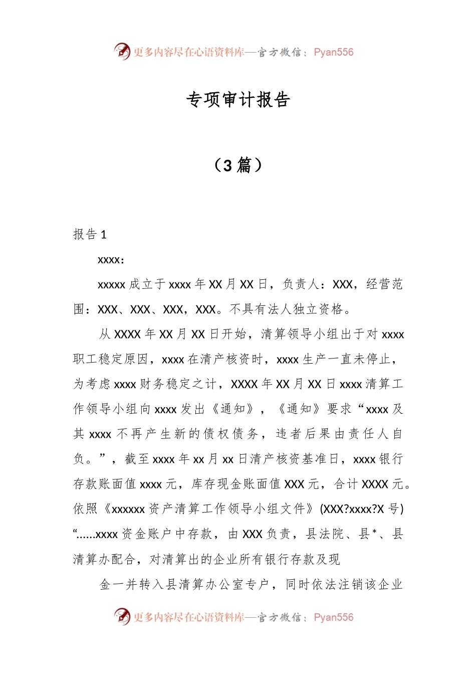 （3篇）专项审计报告.docx_第1页