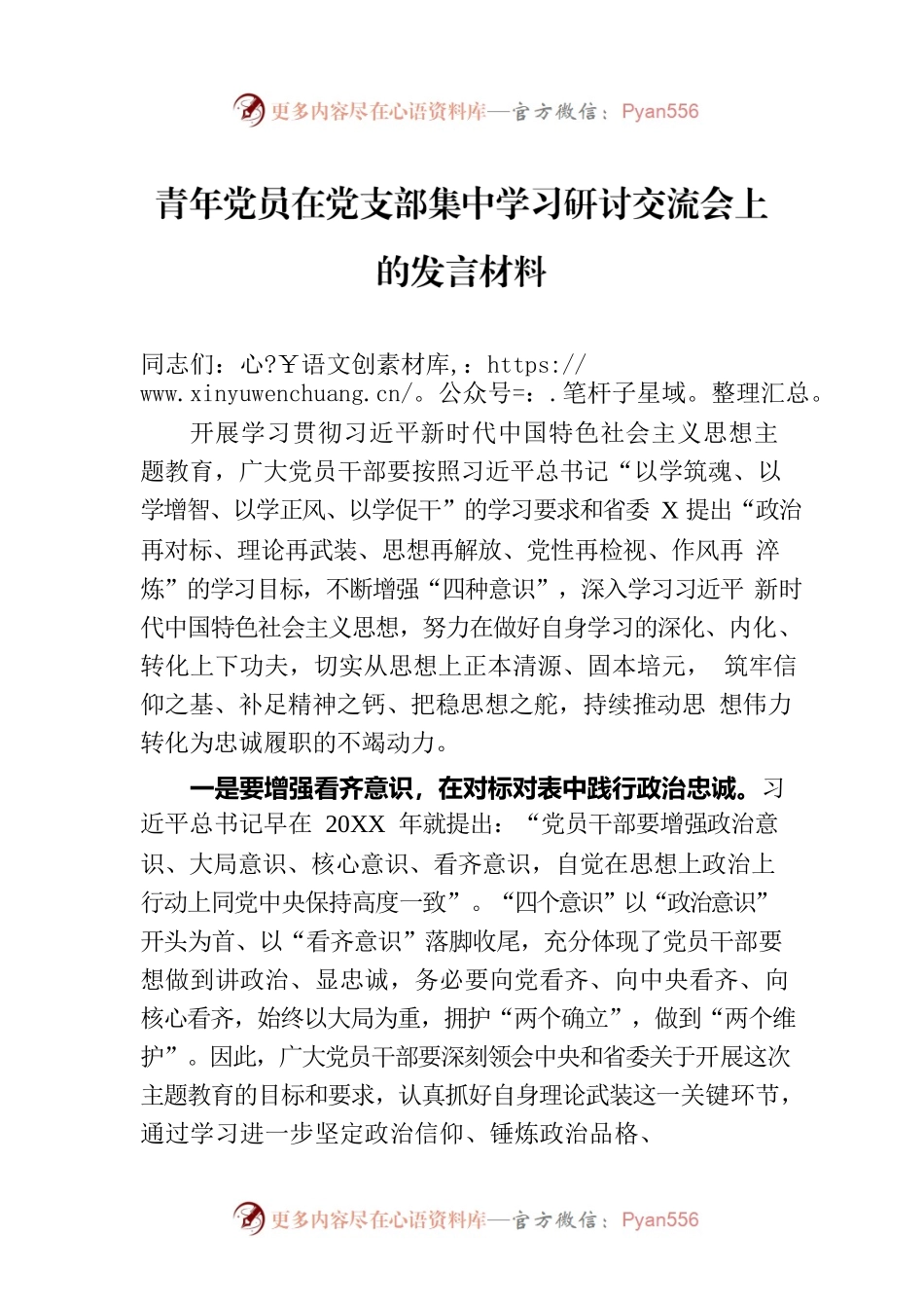 青年党员在党支部集中学习研讨交流会上的发言材料.docx_第1页