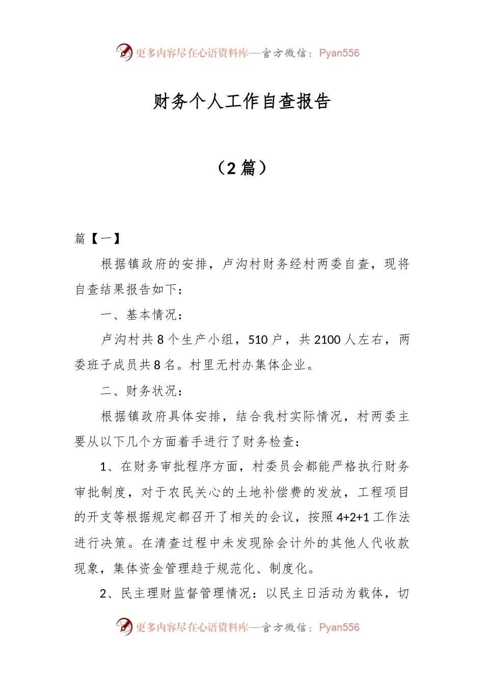 （2篇）财务个人工作自查报告.docx_第1页