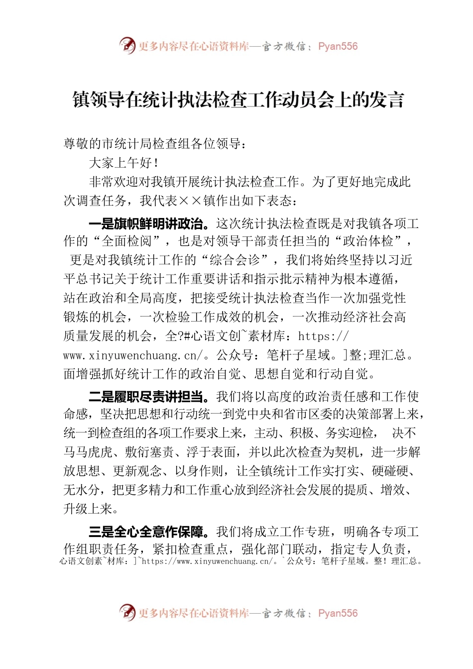 镇领导在统计执法检查工作动员会上的发言.docx_第1页