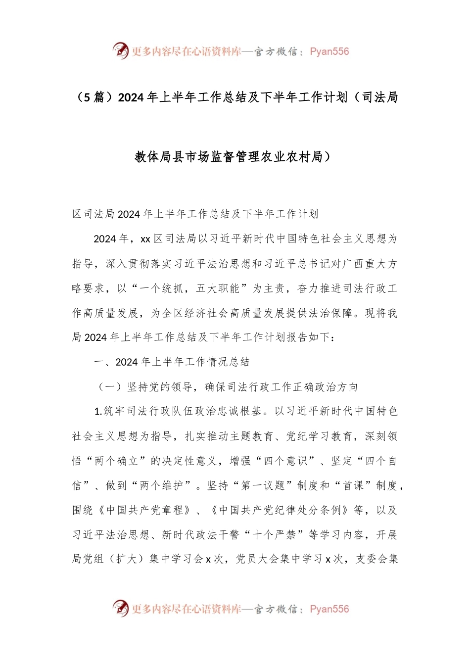 （5篇）2024年上半年工作总结及下半年工作计划（司法局教体局县市场监督管理农业农村局）.docx_第1页