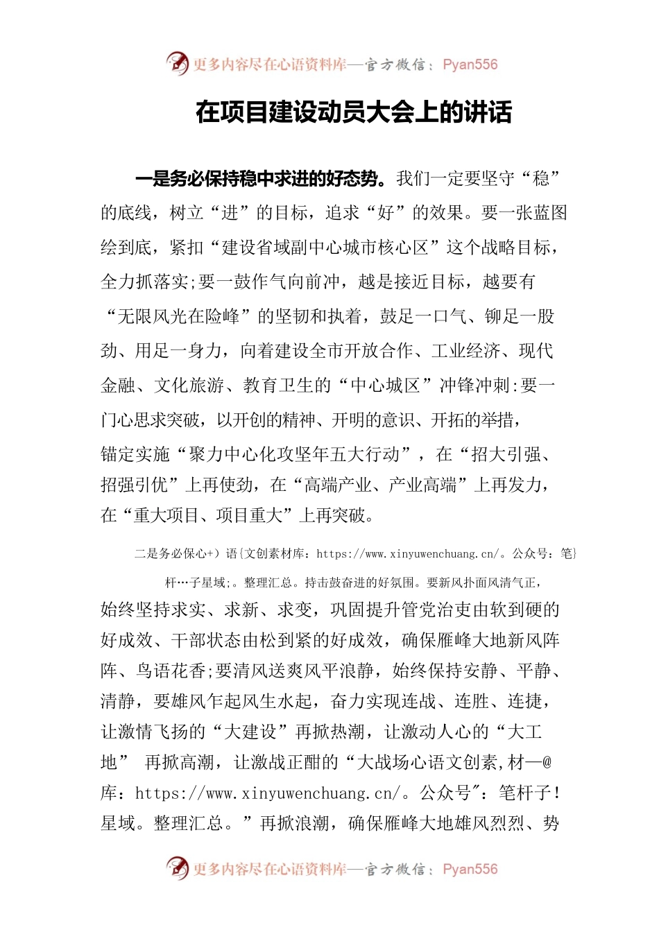 项目建设动员大会上的讲话.docx_第1页