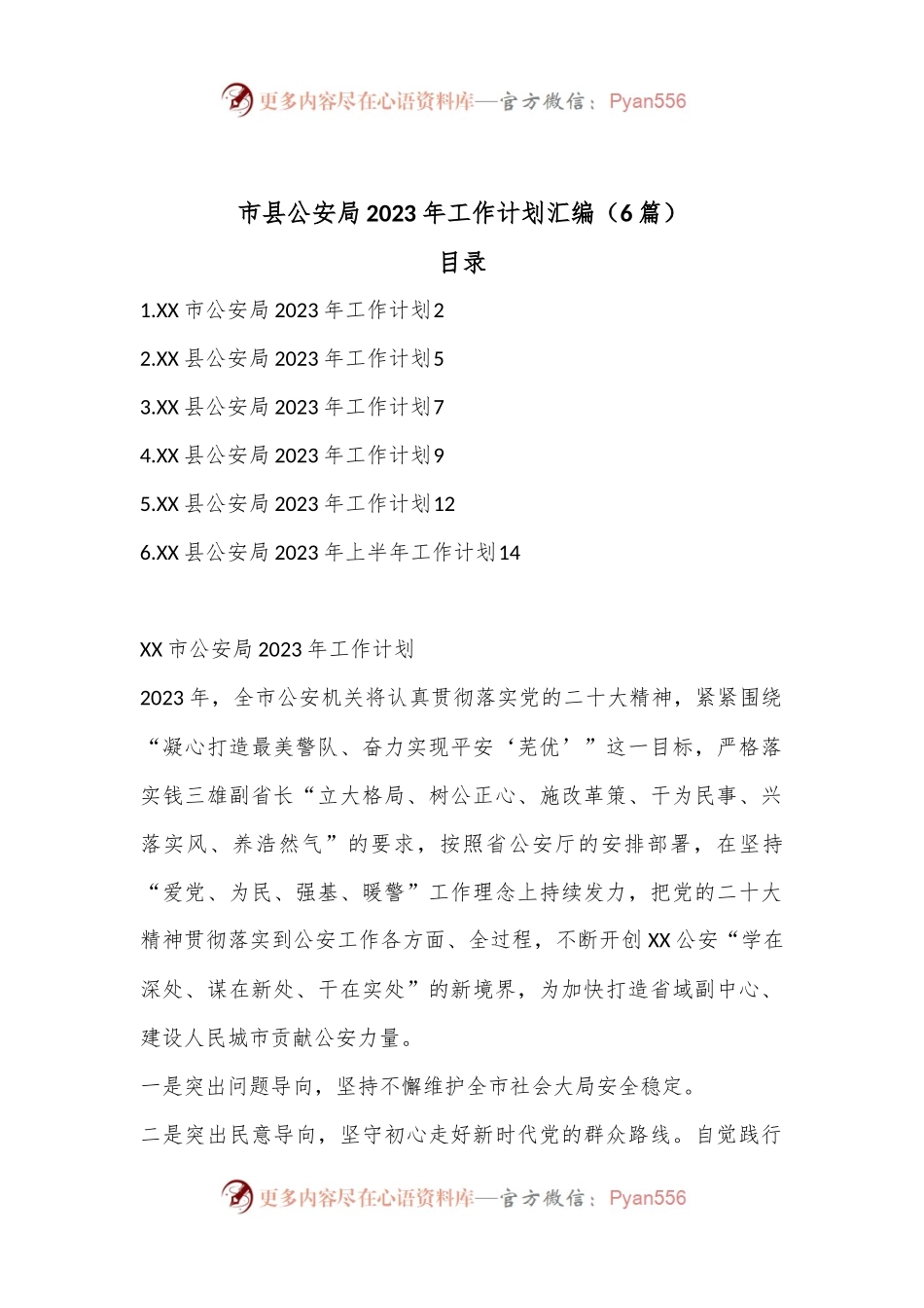 （6篇）市县公安局2023年工作计划汇编.docx_第1页