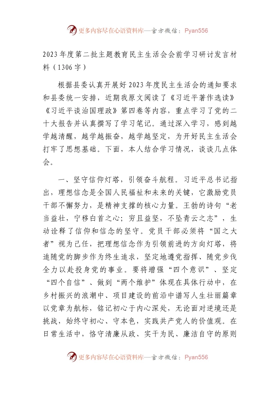 （会前）2023年度第二批主题教育民主生活会会前学习研讨发言材料(1).docx_第1页