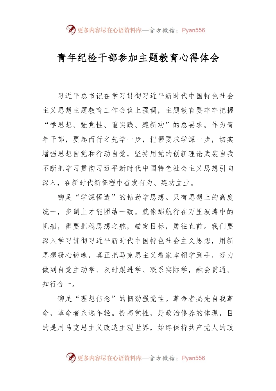 青年纪检干部参加主题教育心得体会.docx_第1页