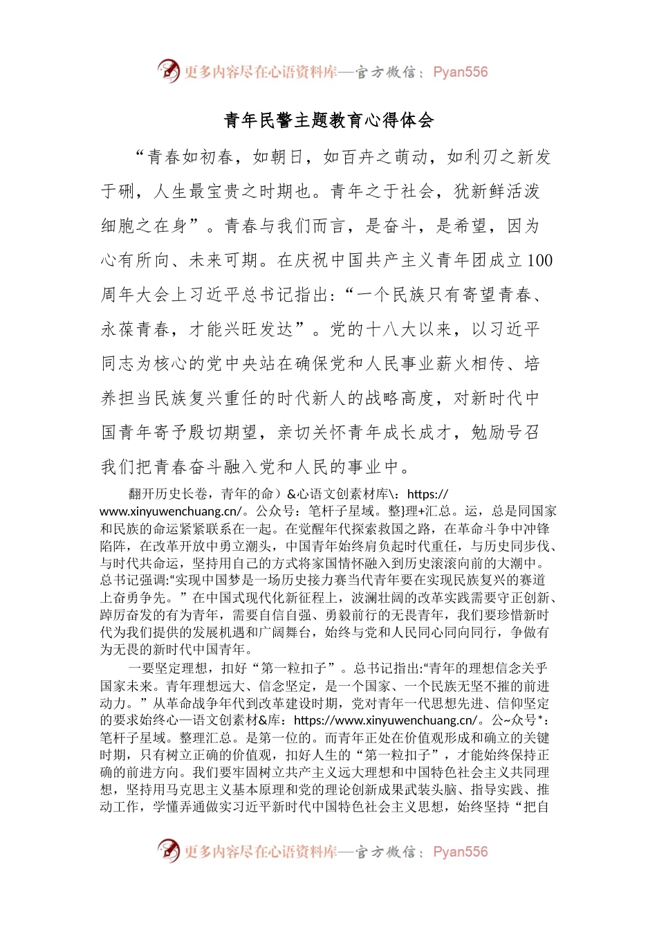 青年民警主题教育心得体会.docx_第1页