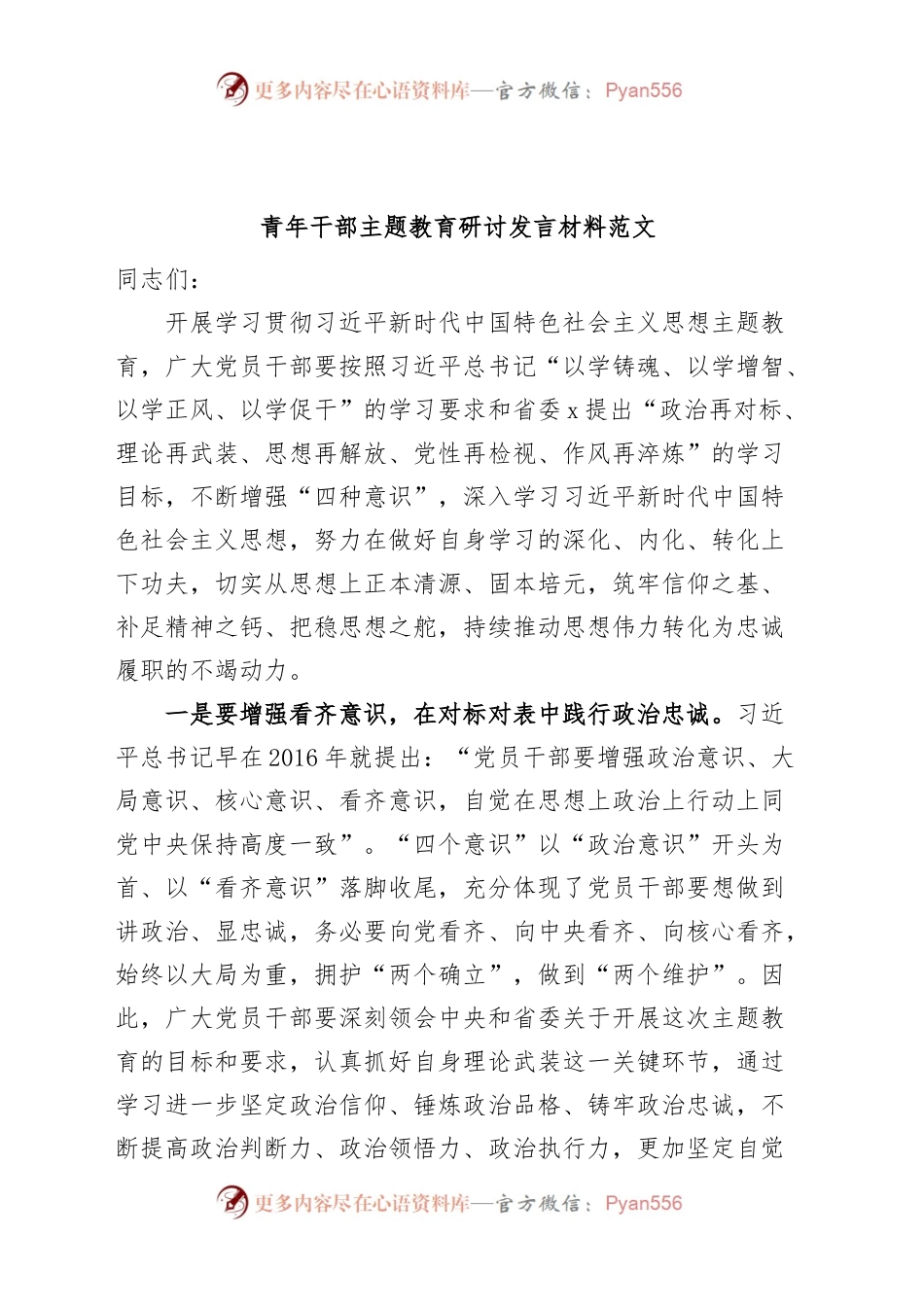 青年干部主题教育研讨发言材料题心得体会.docx_第1页