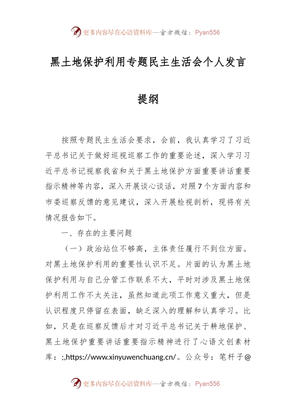黑土地保护利用专题民主生活会个人发言提纲.docx_第1页