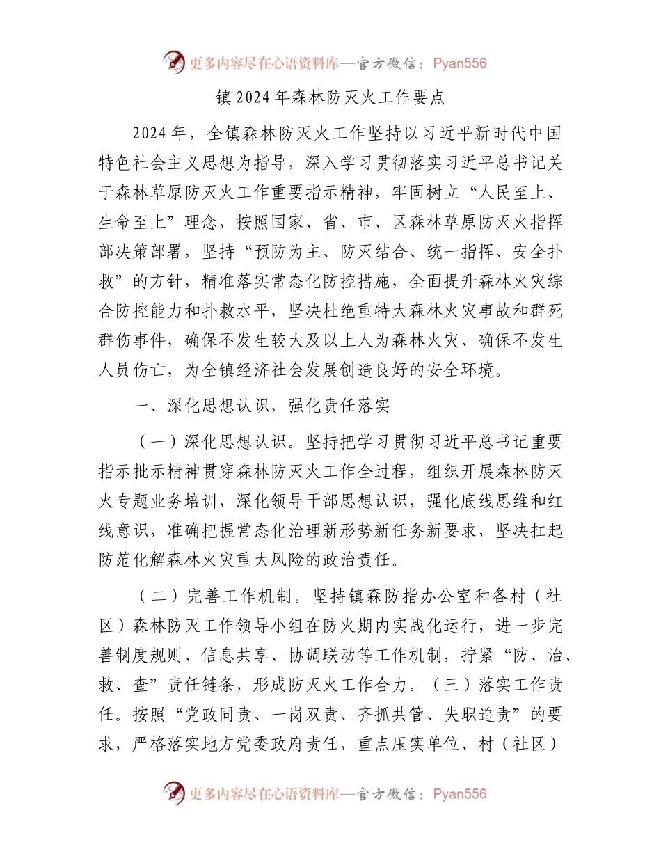 镇2024年森林防灭火工作要点.docx_第1页
