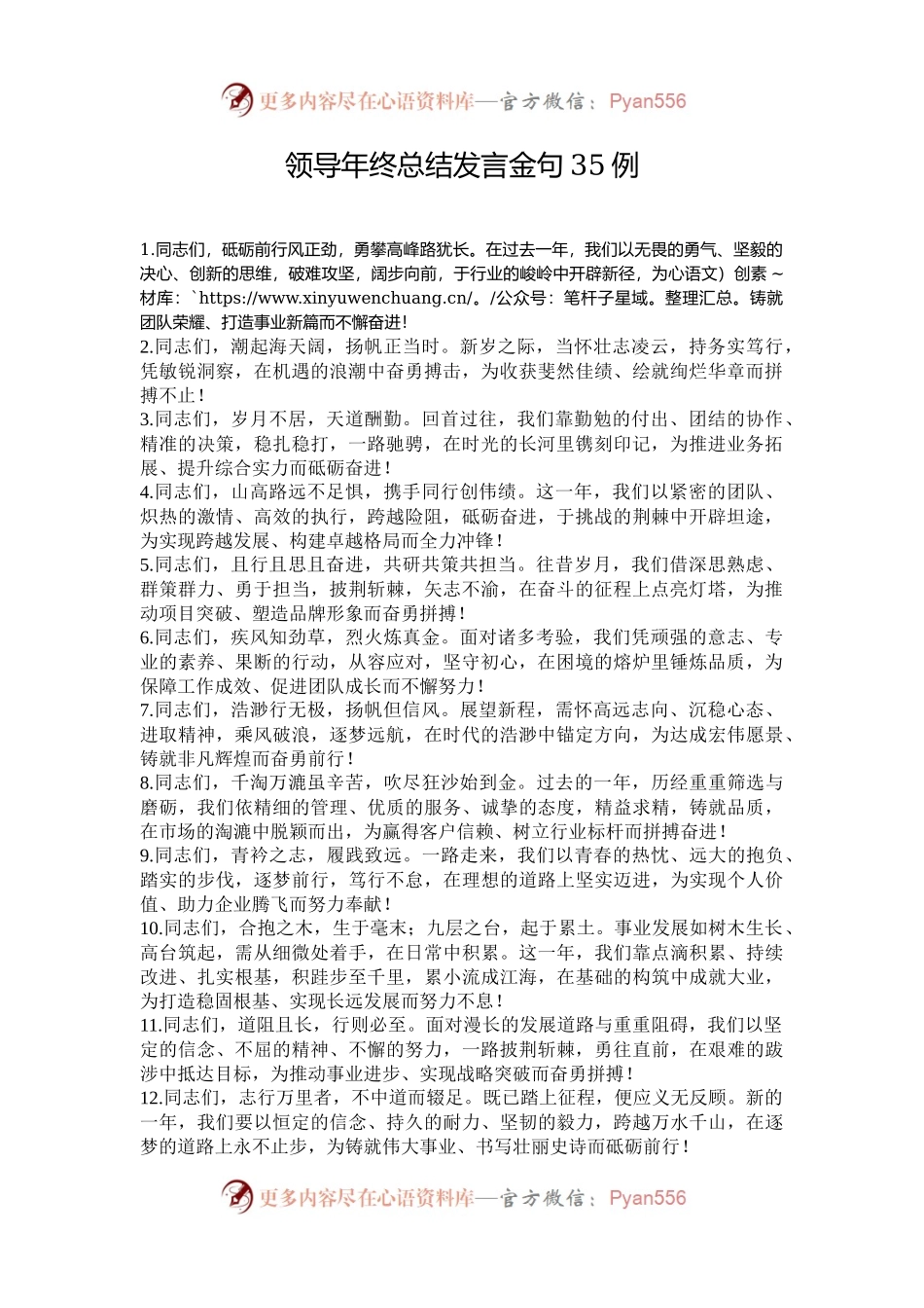 领导年终总结发言金句35例.docx_第1页