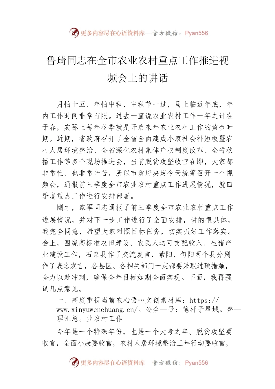 鲁琦同志在全市农业农村重点工作推进视频会上的讲话.docx_第1页