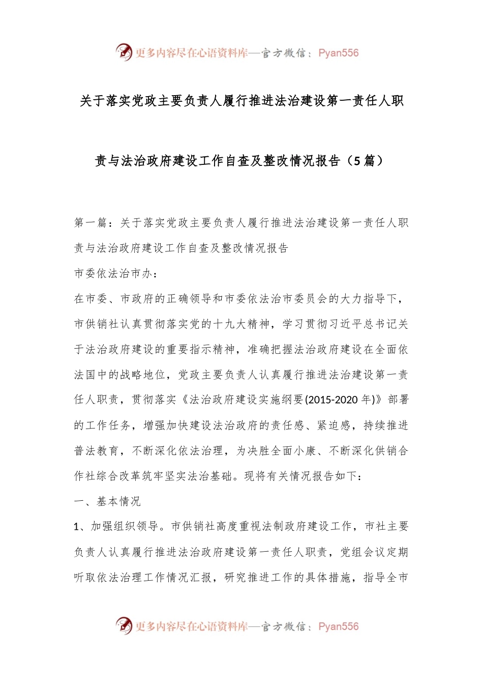 （5篇）关于落实党政主要负责人履行推进法治建设第一责任人职责与法治政府建设工作自查及整改情况报告.docx_第1页