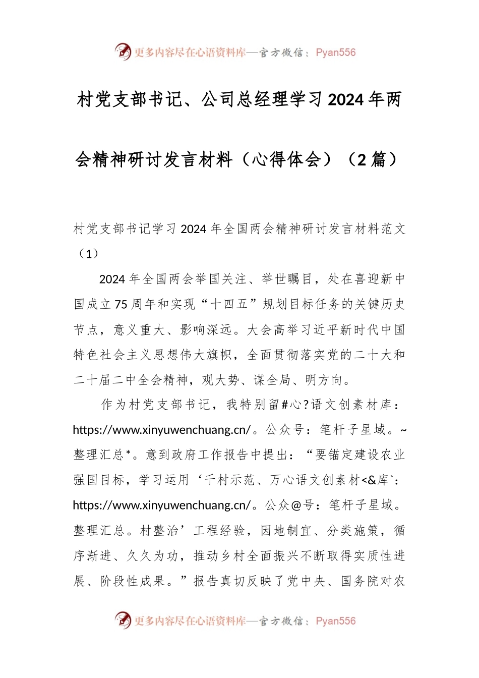 （2篇）村党支部书记、公司总经理学习2024年两会精神研讨发言稿材料（心得体会）.docx_第1页