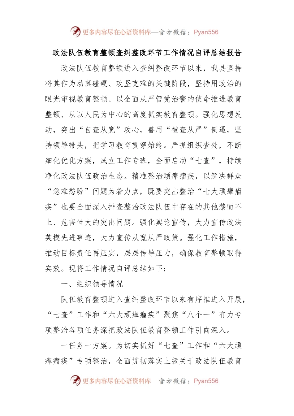 队伍教育整顿查纠整改环节工作情况自评总结报告.docx_第1页