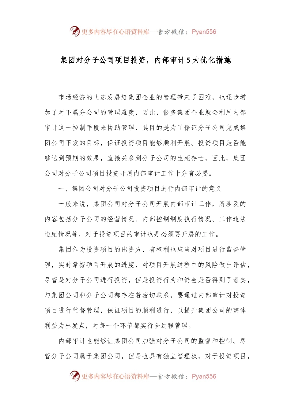集团对分子公司项目投资，内部审计5大优化措施.docx_第1页