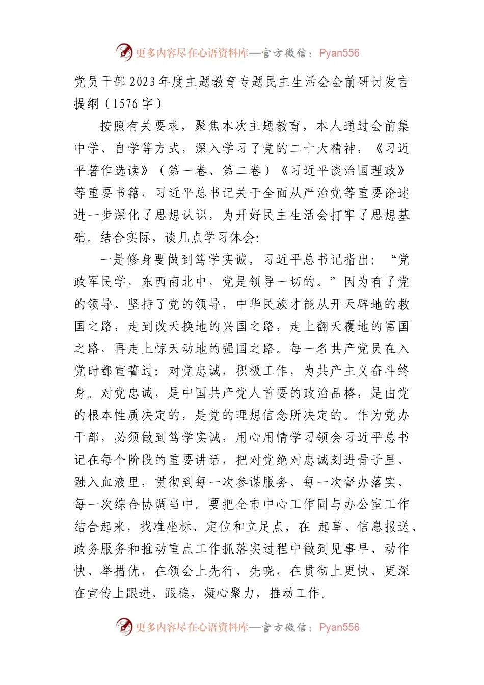 （会前）2023年度主题教育专题民主生活会会前研讨发言提纲.docx_第1页