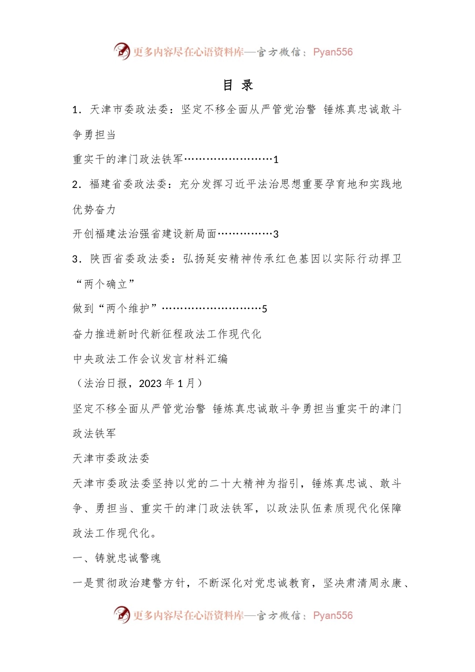 （3篇）中央政法工作会议发言材料汇编（2023年）.docx_第1页