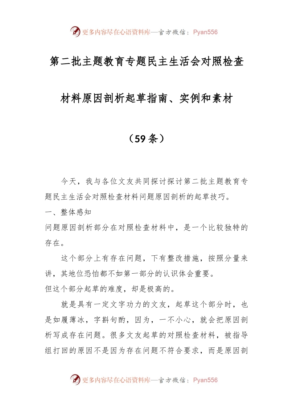 （59条）第二批主题教育专题民主生活会对照检查材料原因剖析起草指南、实例和素材.docx_第1页
