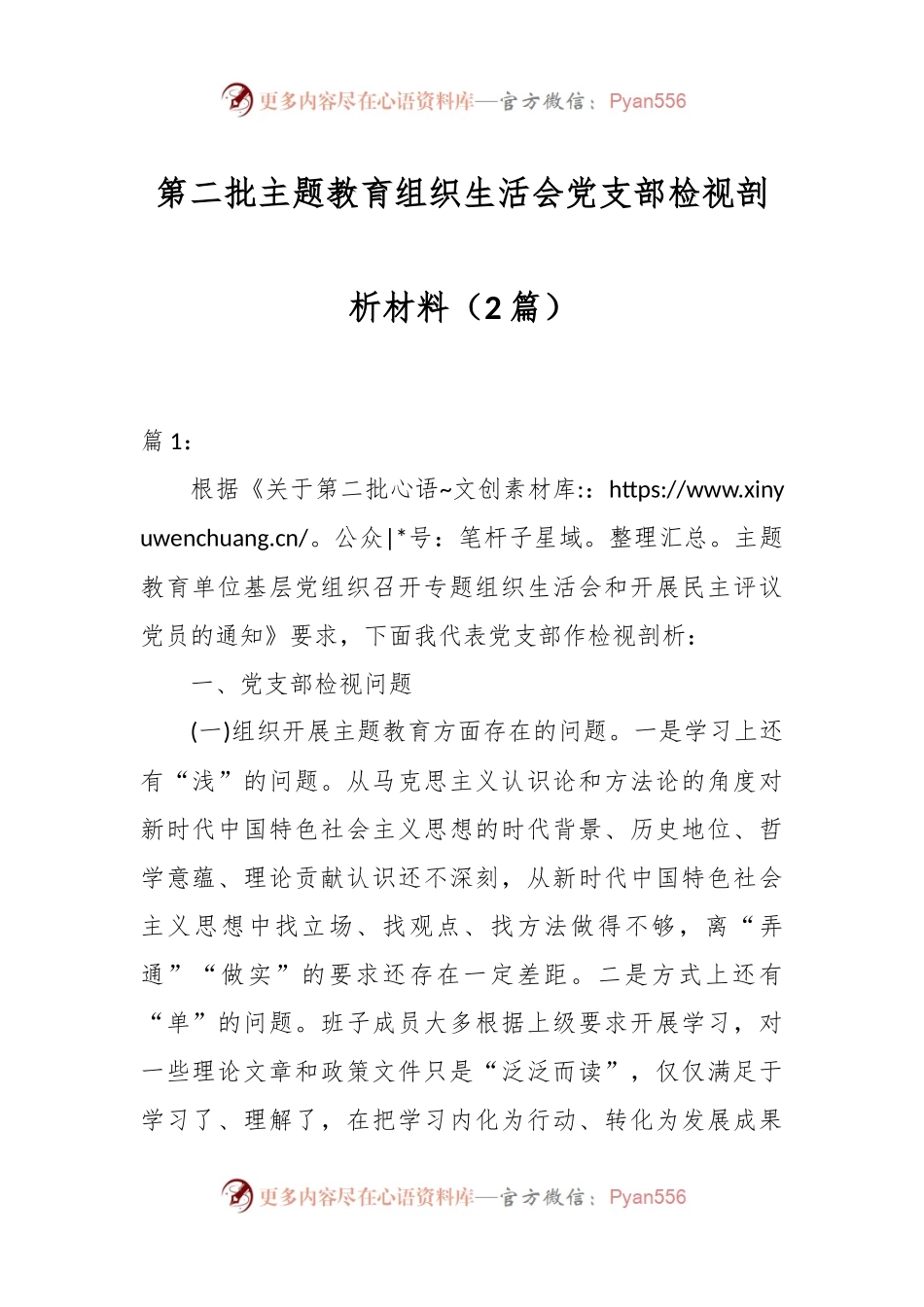 （2篇）第二批主题教育组织生活会党支部检视剖析材料.docx_第1页