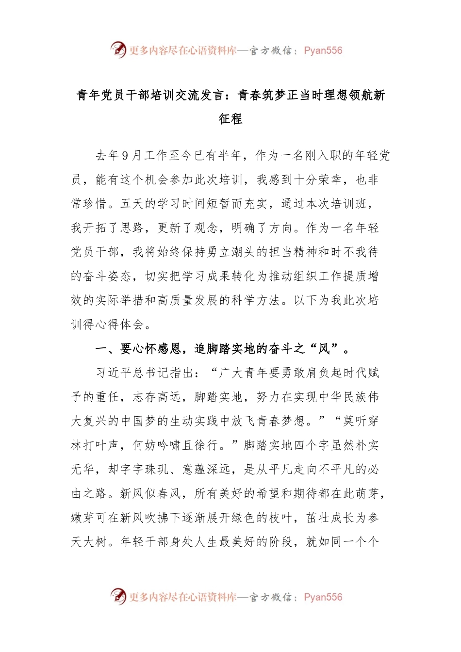 青年党员干部培训交流发言：青春筑梦正当时理想领航新征程.docx_第1页