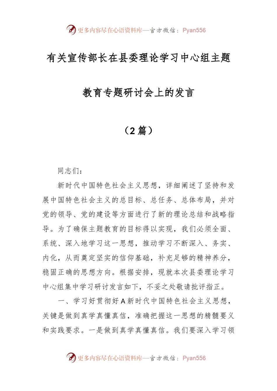 （2篇）有关宣传部长在县委理论学习中心组主题教育专题研讨会上的发言.docx_第1页