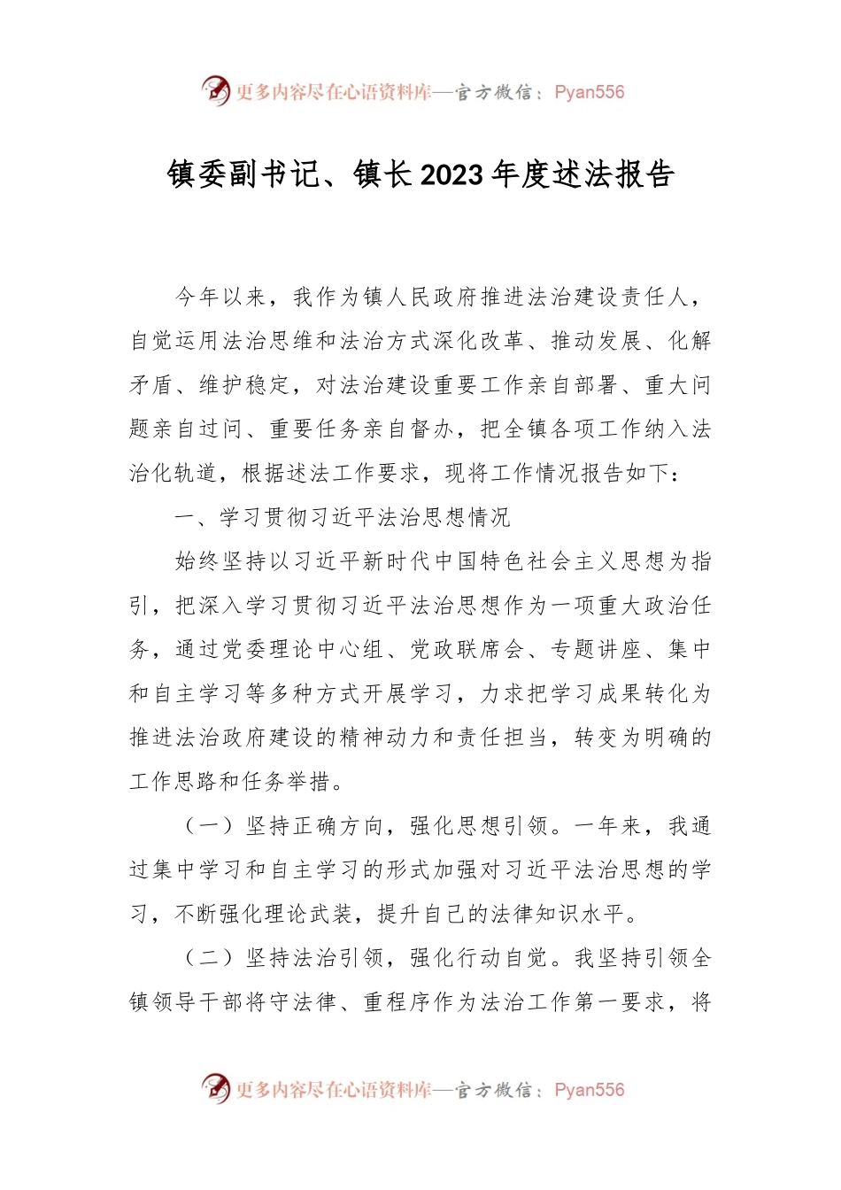 镇委副书记、镇长2023年度述法报告.docx_第1页