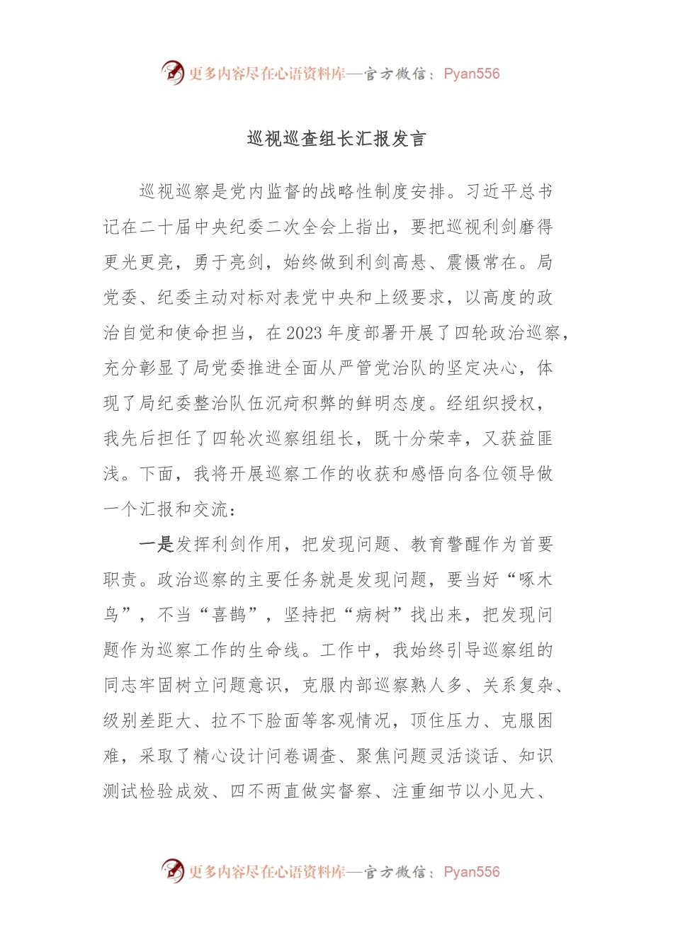 巡视巡查组长汇报发言.docx_第1页