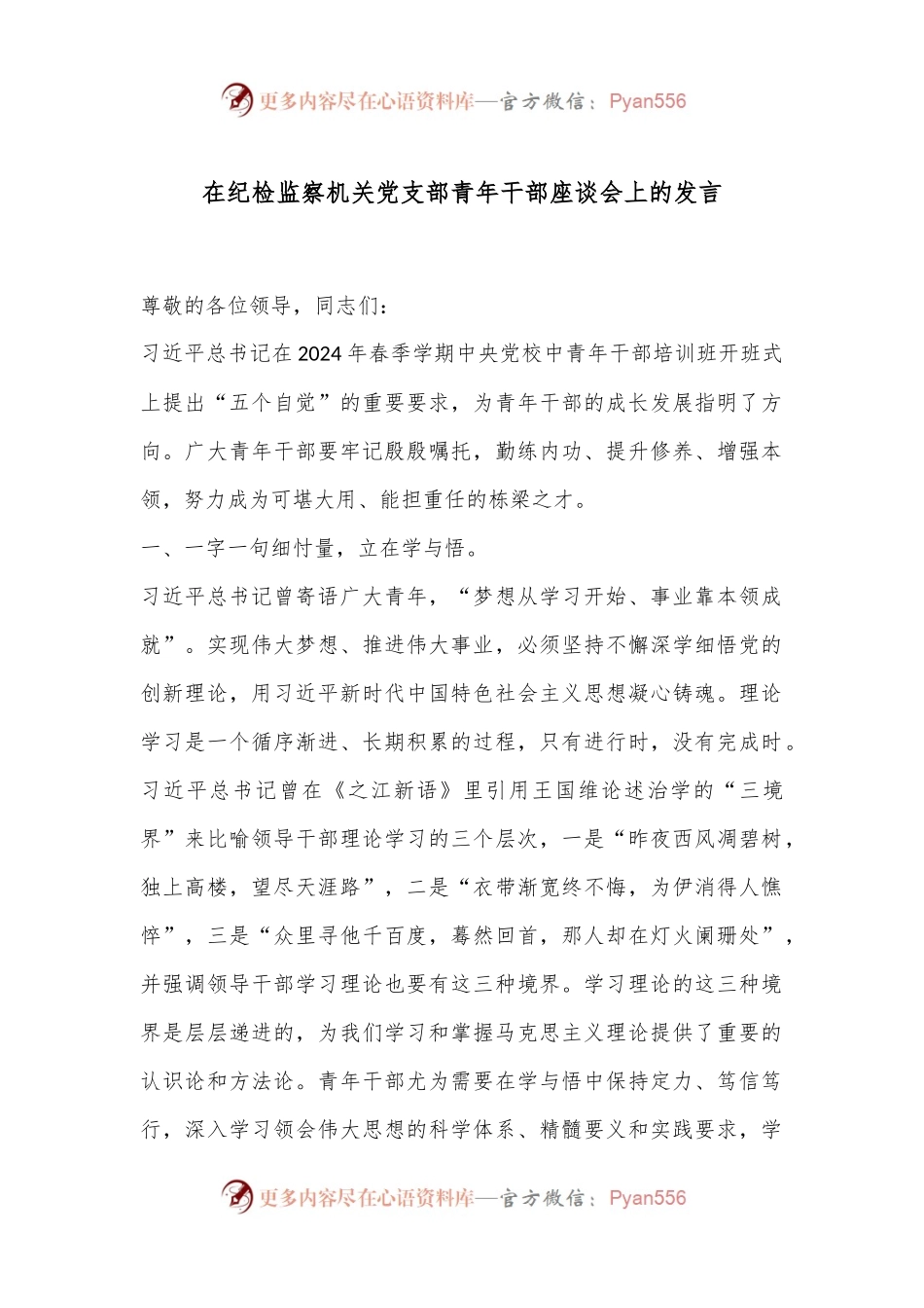 在纪检监察机关党支部青年干部座谈会上的发言.docx_第1页