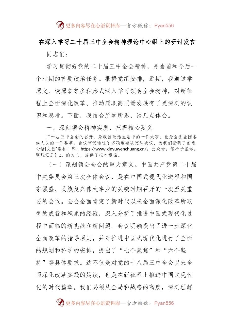在深入学习二十届三中全会精神理论中心组上的研讨发言.docx_第1页