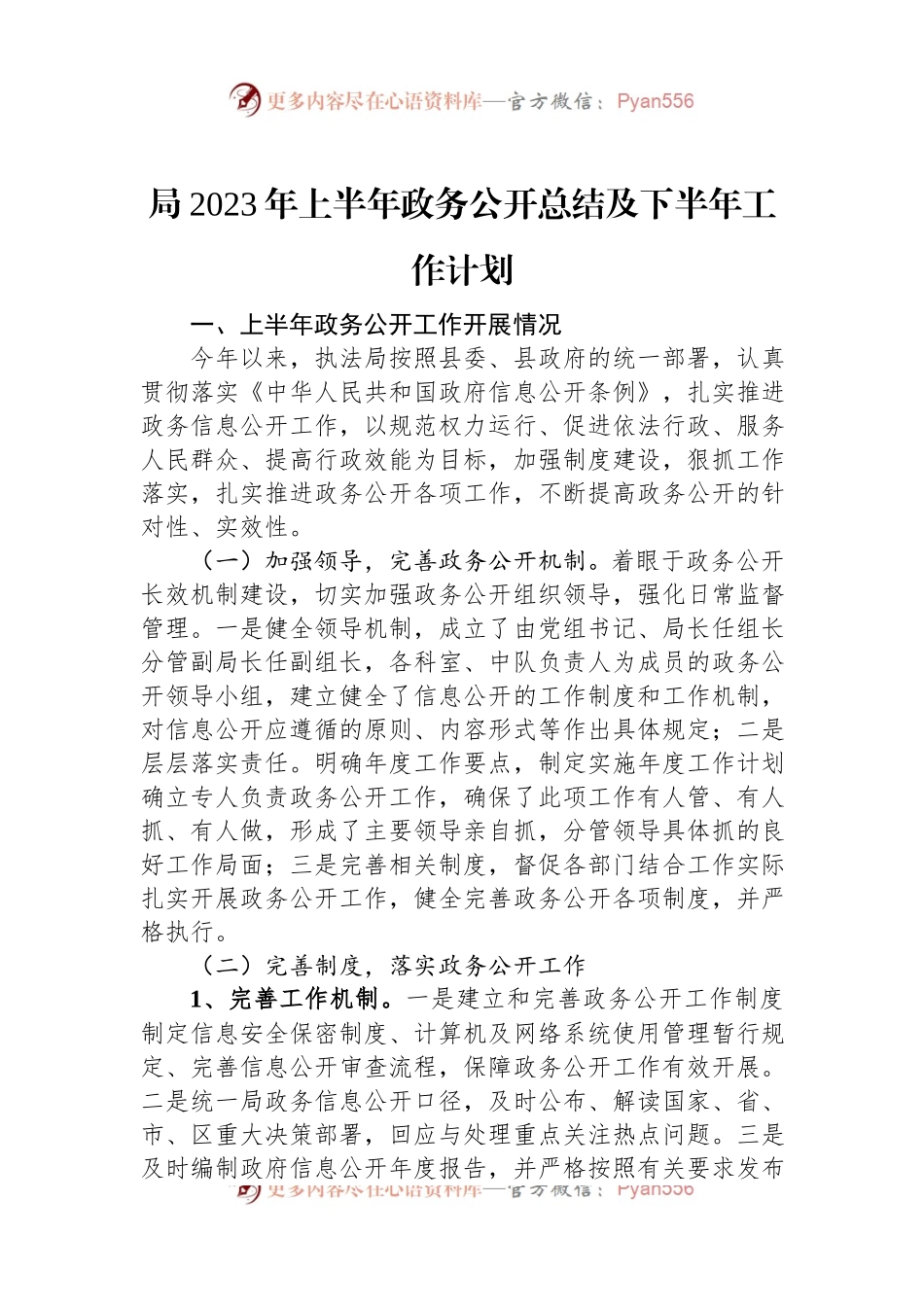 局2023年上半年政务公开总结及下半年工作计划.docx_第1页