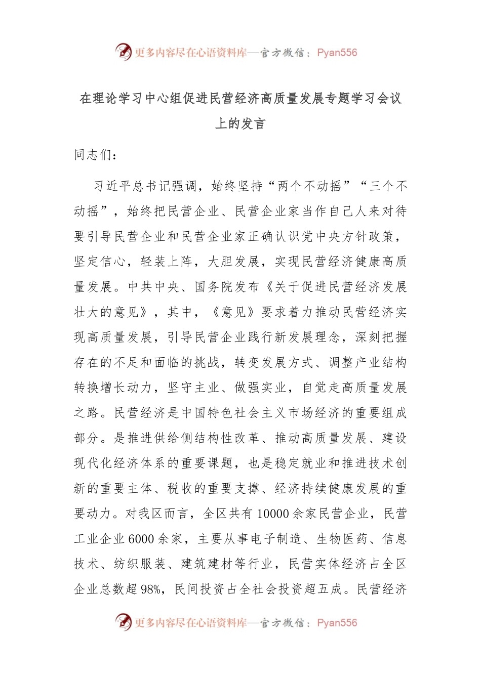 在理论学习中心组促进民营经济高质量发展专题学习会议上的发言.docx_第1页