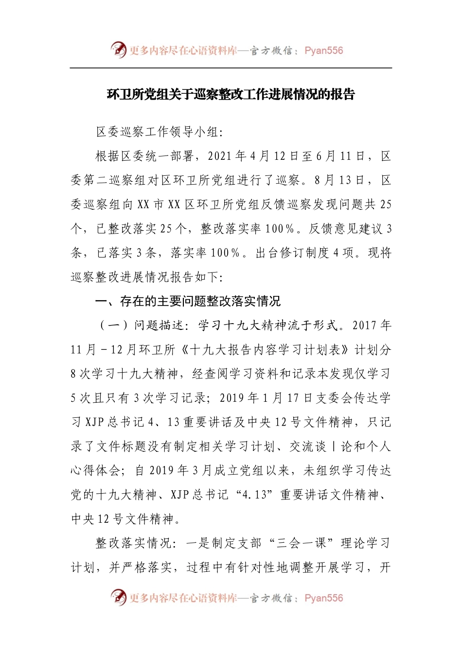 巡察整改工作进展情况的报告.docx_第1页