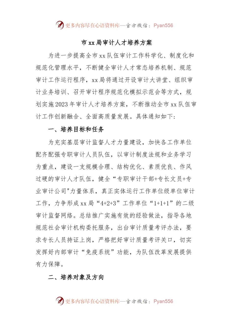 市xx局审计人才培养方案.docx_第1页