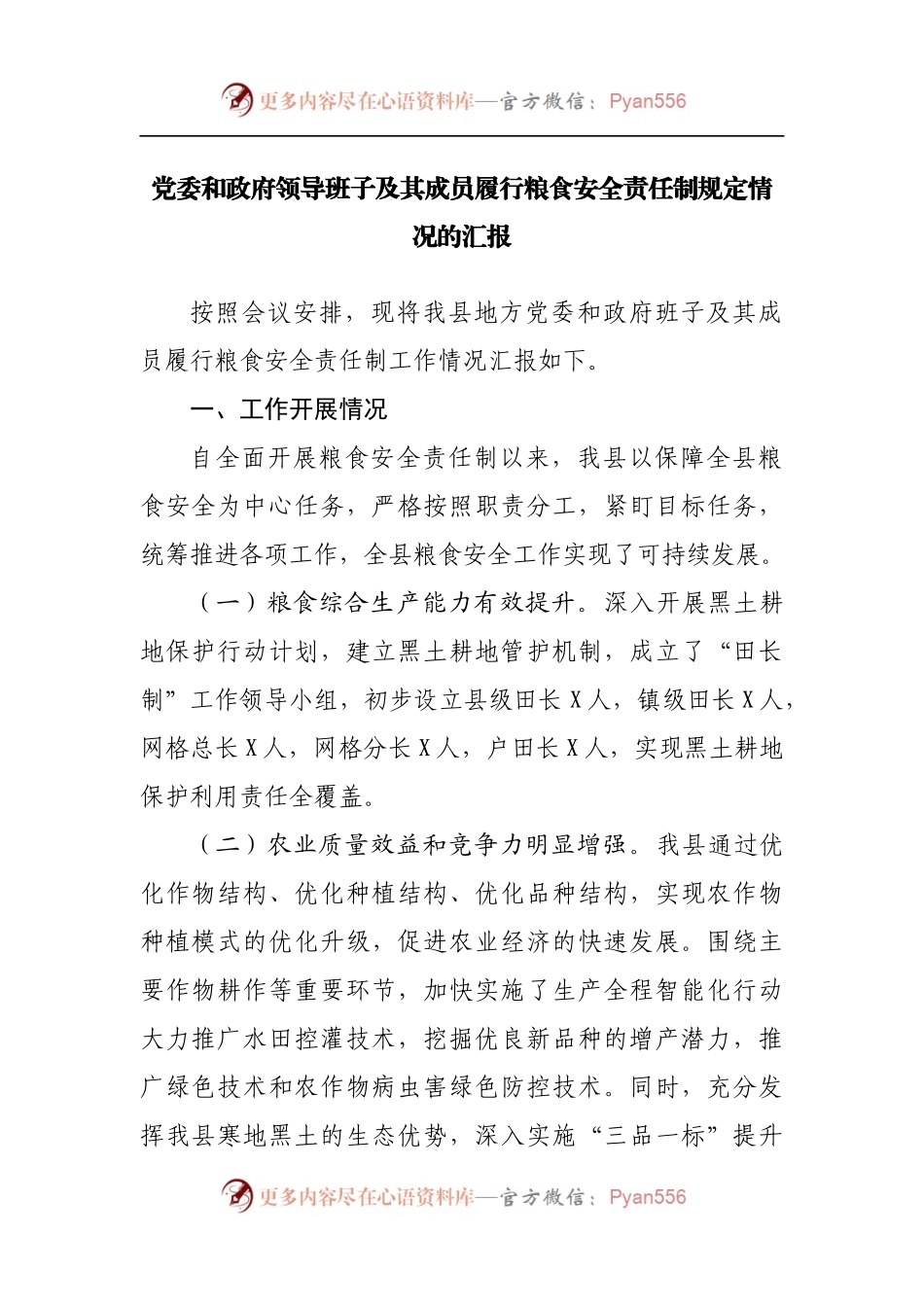 履行粮食安全责任制规定情况的汇报.docx_第1页
