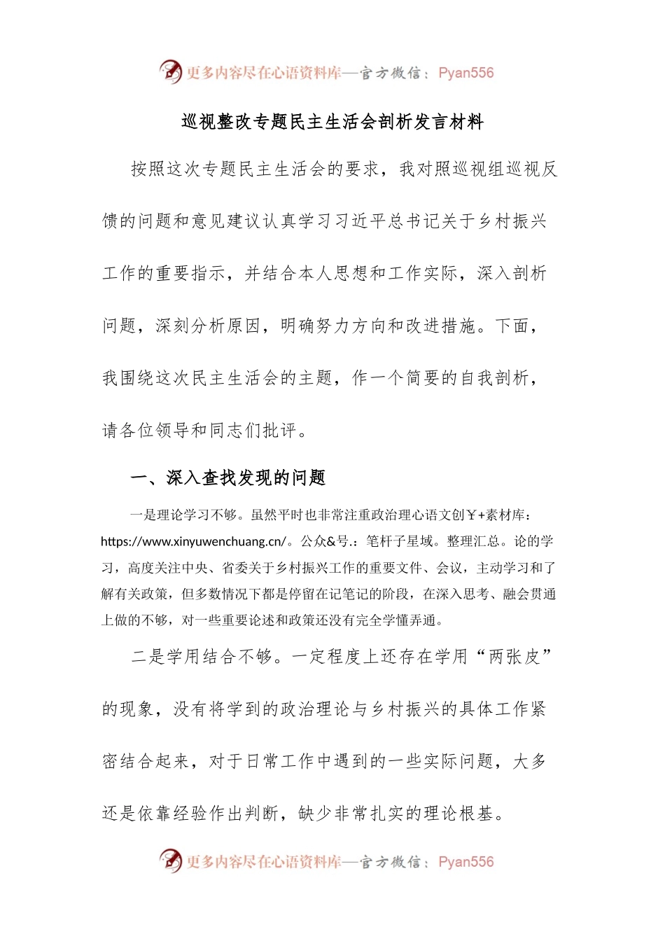 巡视整改专题民主生活会剖析发言材料.docx_第1页