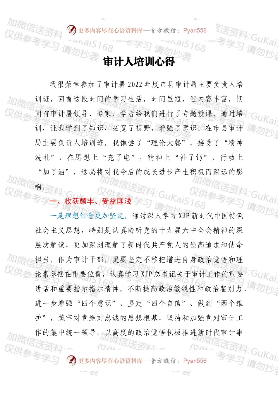 审计人培训心得.docx_第1页