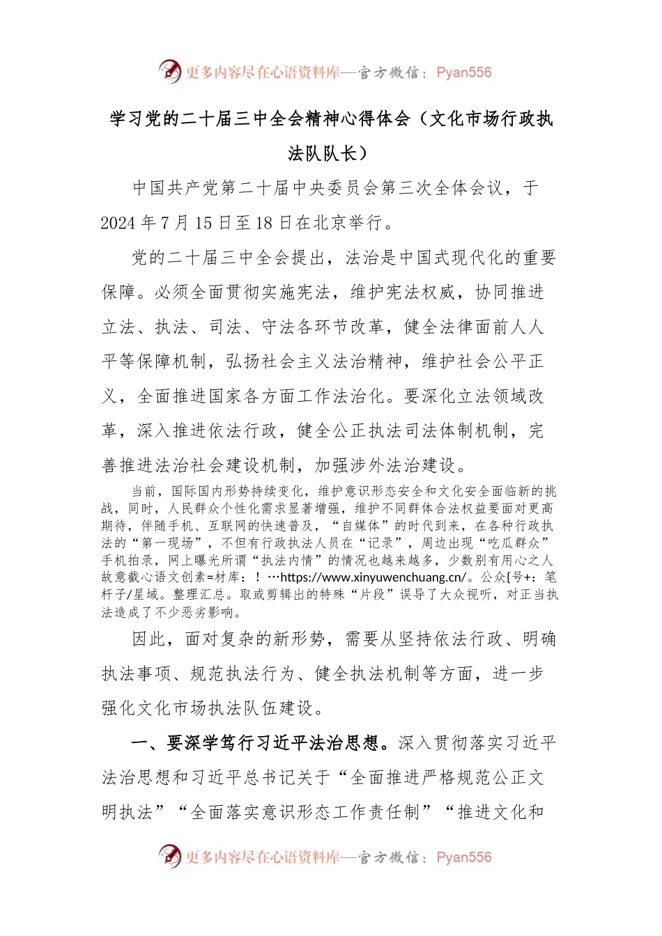 学习党的二十届三中全会精神心得体会（文化市场行政执法队队长）.docx_第1页
