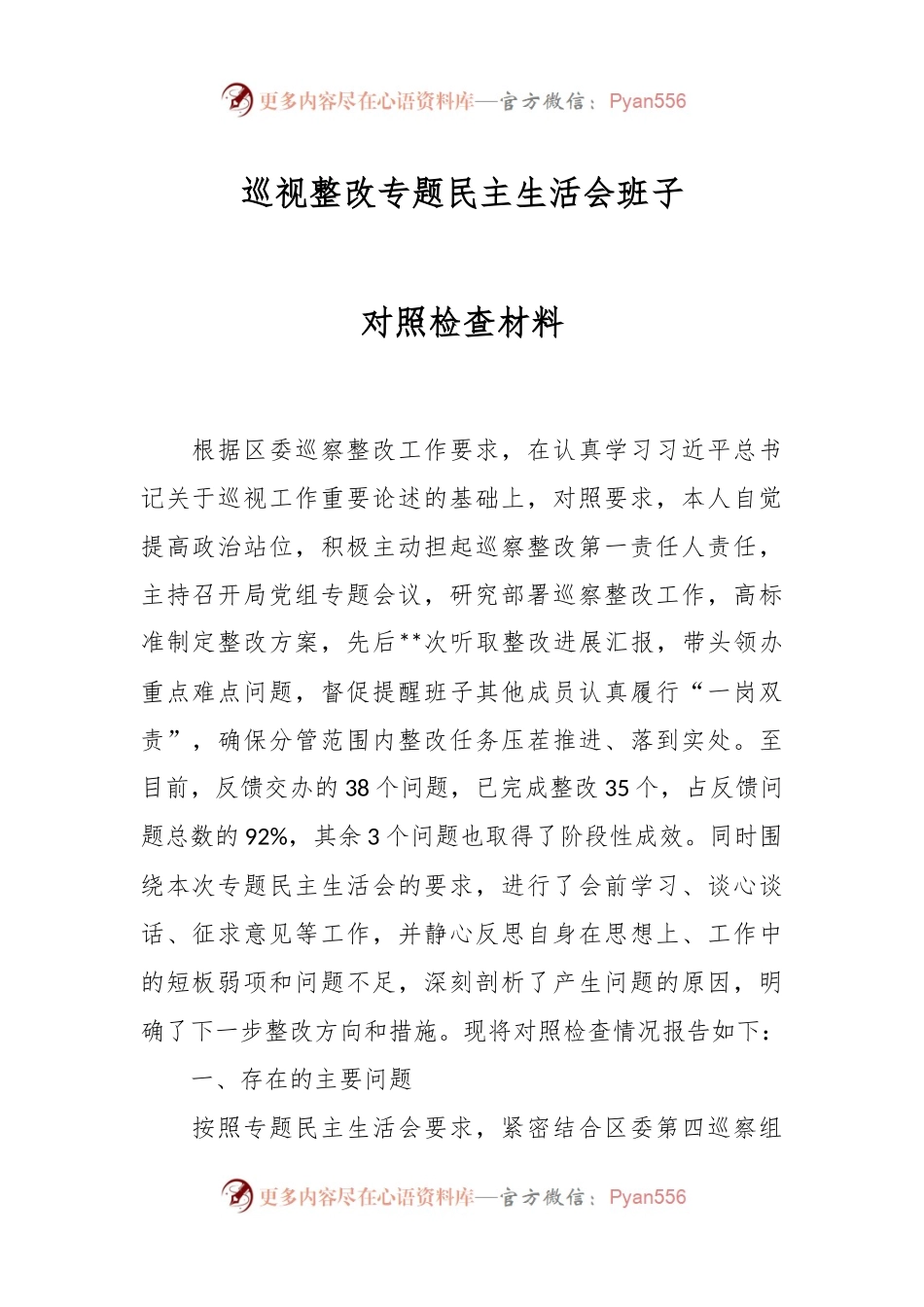 巡视整改专题民主生活会班子对照检查材料.docx_第1页