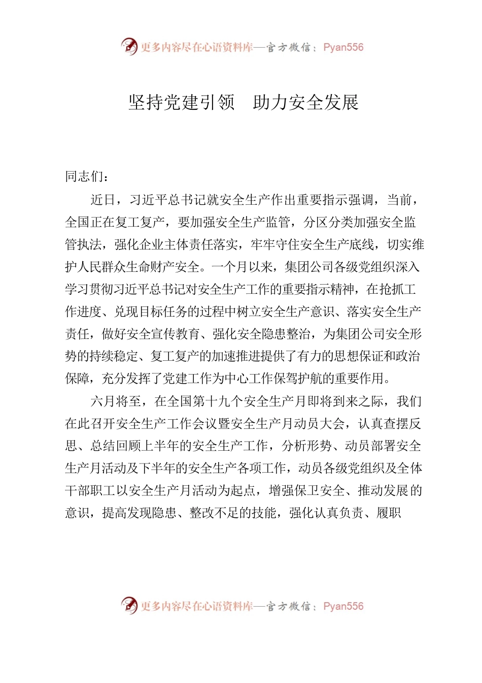 坚持党建引领  助力安全发展.docx_第1页