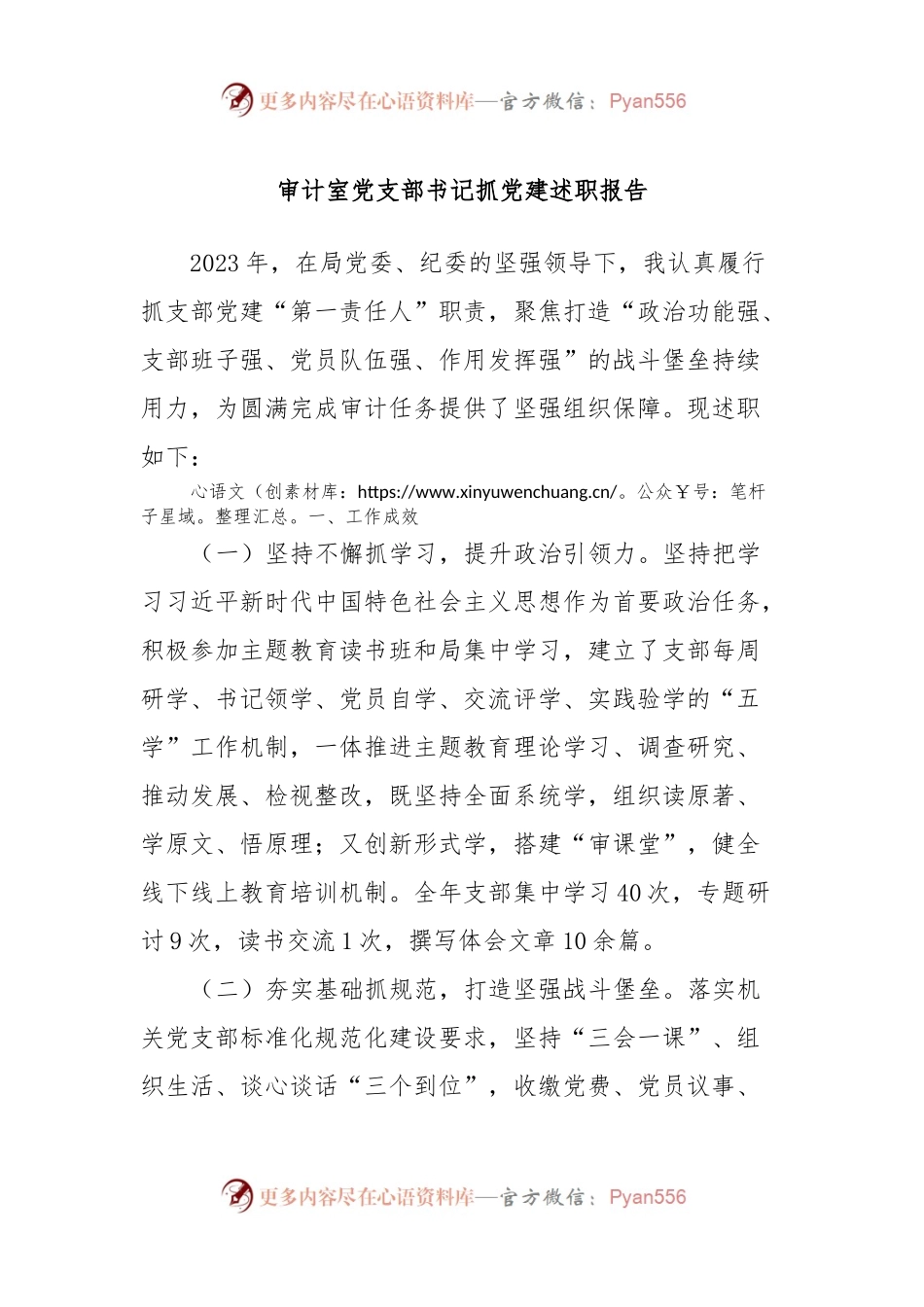 审计室党支部书记抓党建述职报告.docx_第1页